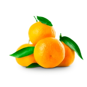 Satsuma